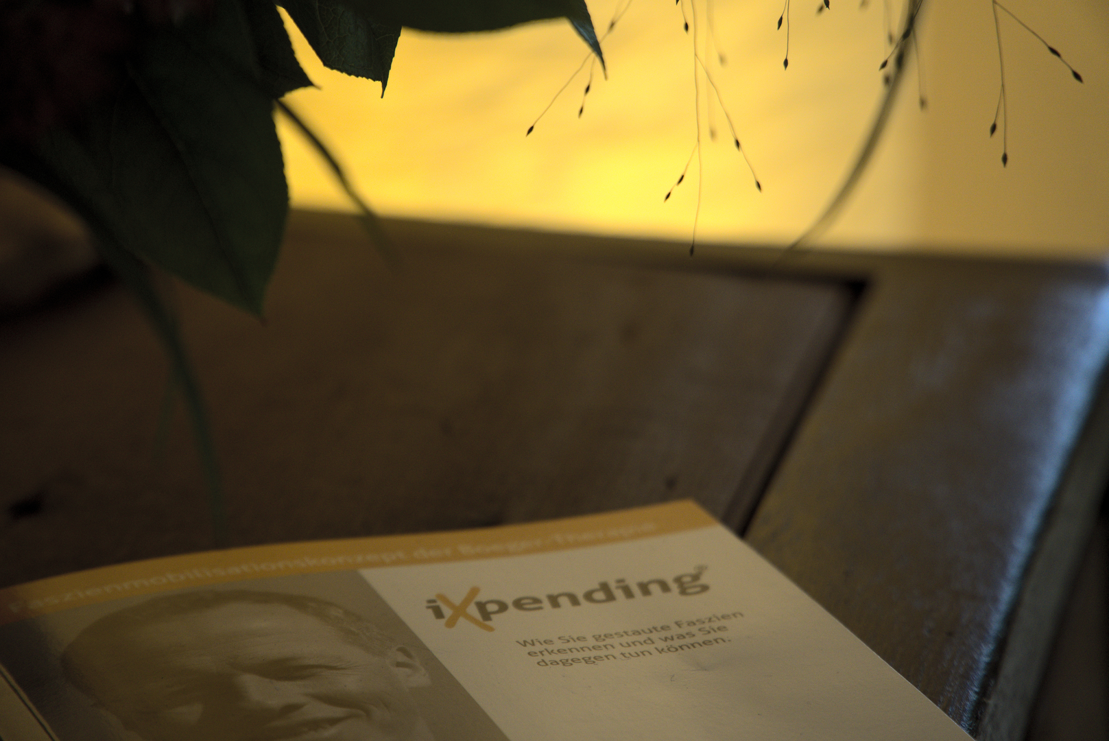 Detailaufnahme einer iXpending-Broschüre